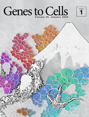 GTC cover art January 2024